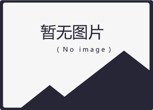 投票